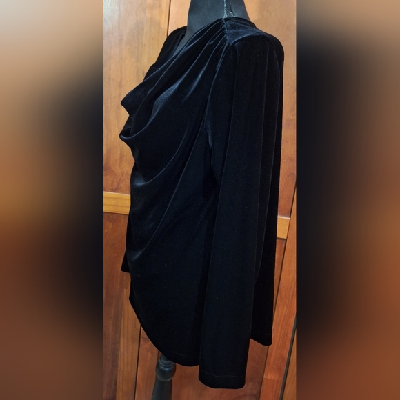 🐈⬛SUSAN GRAVER black velour blouse. Size L - Picture 3 of 6